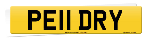 Registration number PE11 DRY